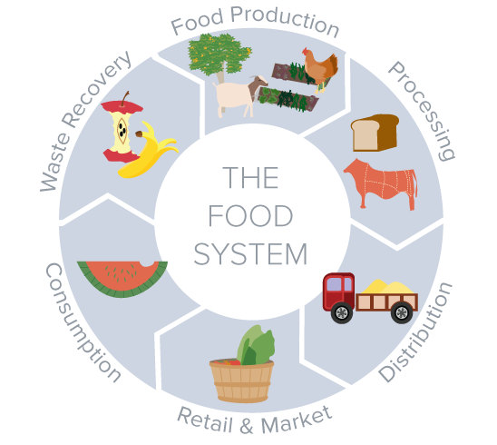 diagram of a food system